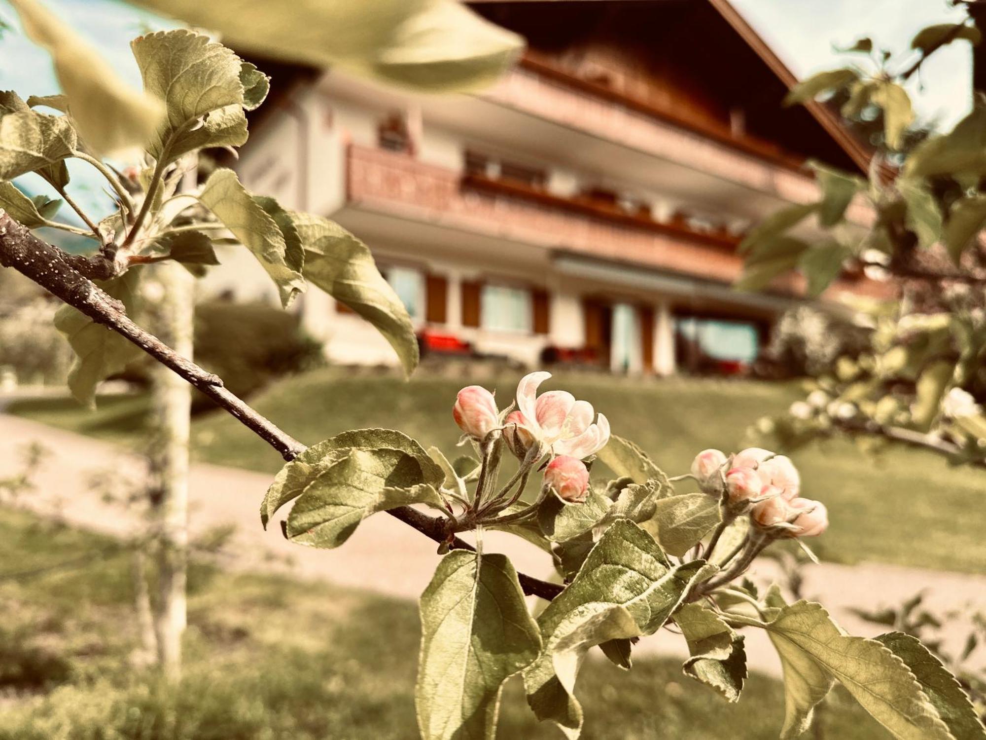 Residence Neuhaeuslhof Μεράνο Εξωτερικό φωτογραφία